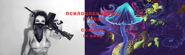 прущая мука Магас