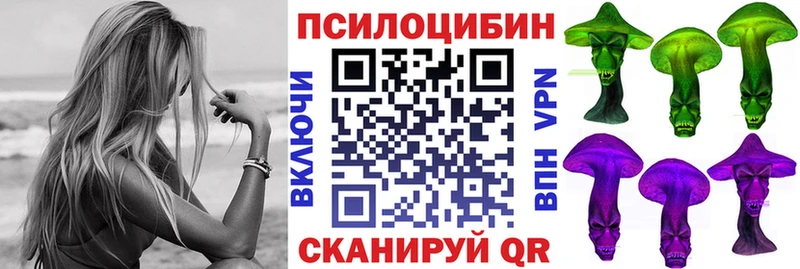купить наркоту Мегион Псилоцибиновые грибы Psilocybe
